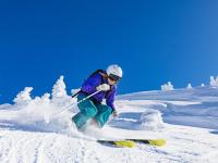 FB体育官方网站-数据爆炸与冷门狂潮，贝林厄姆现象与南非女足的历史性胜利