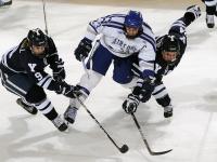 FB体育官网-巴雷拉爆发点燃蓝黑军团，奥地利铁壁粉碎莱比锡红牛攻势