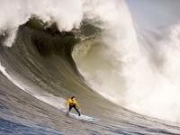 FB体育-欧冠半决赛焦点战，勒沃库森压哨绝杀里昂，奇迹之夜震撼欧洲