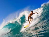 FB体育网页版-苏亚雷斯爆发破坚冰，牙买加战术压制乌克兰，南美风暴席卷欧洲壁垒