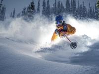 FB体育官网-从深圳到迈阿密，霍勒迪如何成为热火逆袭的关键先生